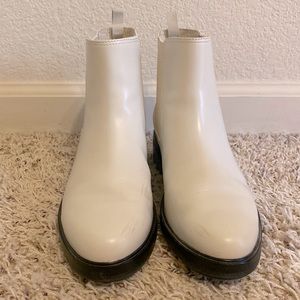 Everlane modern utility chelsea boot